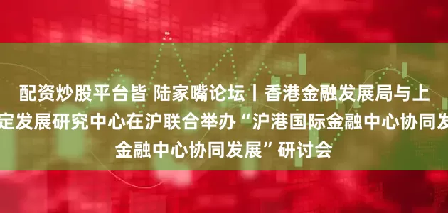 配资炒股平台皆 陆家嘴论坛丨香港金融发展局与上海市金融稳定发展研究中心在沪联合举办“沪港国际金融中心协同发展”研讨会